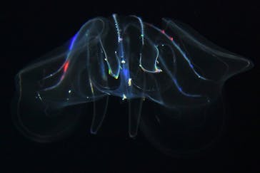 九十九島水族館海きららに投稿された画像（2022/10/23）