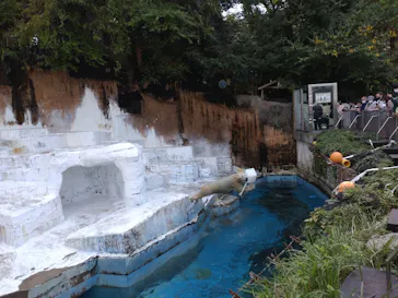 天王寺動物園に投稿された画像（2022/10/23）