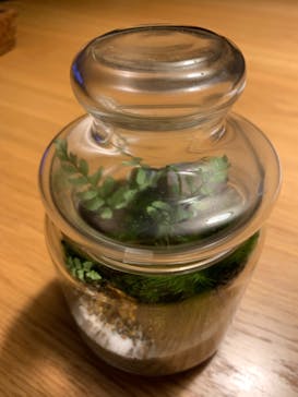 shida design（シダデザイン）に投稿された画像（2022/10/23）