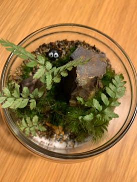 shida design（シダデザイン）に投稿された画像（2022/10/23）