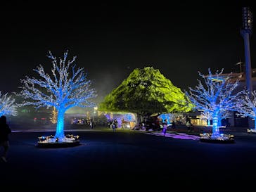 東京メガイルミに投稿された画像（2022/10/23）