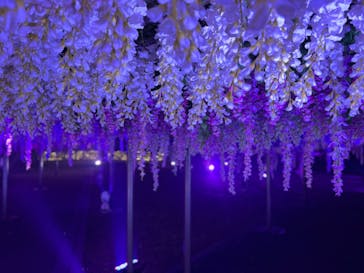 東京メガイルミに投稿された画像（2022/10/23）