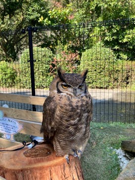 長崎バイオパークに投稿された画像（2022/10/23）