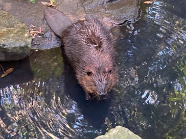 長崎バイオパークに投稿された画像（2022/10/23）