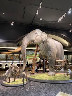 滋賀県立琵琶湖博物館に投稿された画像（2022/10/23）