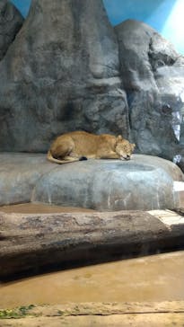 よこはま動物園ズーラシアに投稿された画像（2022/10/23）