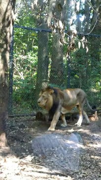 よこはま動物園ズーラシアに投稿された画像（2022/10/23）
