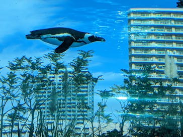サンシャイン水族館に投稿された画像（2022/10/23）
