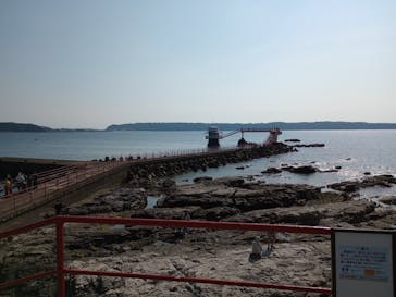 串本海中公園水族館に投稿された画像（2022/10/23）