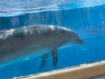 新江ノ島水族館に投稿された画像（2022/10/23）