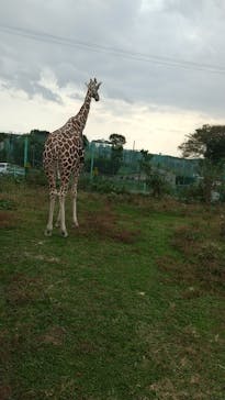 岩手サファリパークに投稿された画像（2022/10/23）