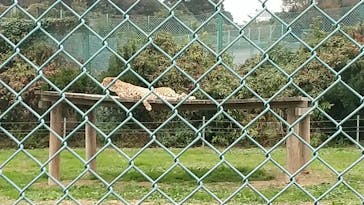 岩手サファリパークに投稿された画像（2022/10/23）