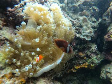 武藤潜水に投稿された画像（2022/10/23）