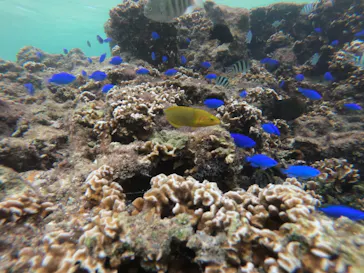 武藤潜水に投稿された画像（2022/10/23）