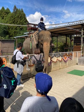 那須ワールドモンキーパークに投稿された画像（2022/10/23）