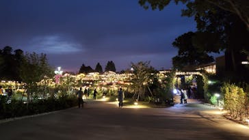 いばらきフラワーパークに投稿された画像（2022/10/23）