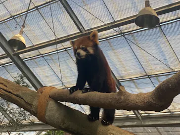 神戸どうぶつ王国に投稿された画像（2022/10/23）