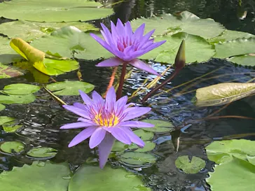 神戸どうぶつ王国に投稿された画像（2022/10/23）