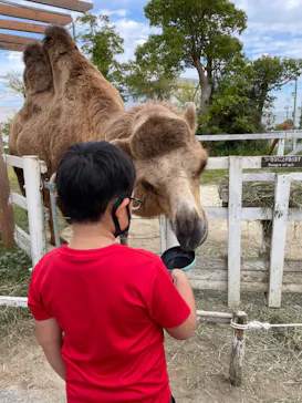 神戸どうぶつ王国に投稿された画像（2022/10/23）