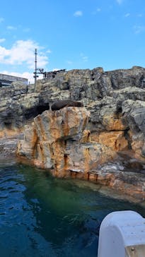 大分マリーンパレス水族館 「うみたまご」に投稿された画像（2022/10/23）