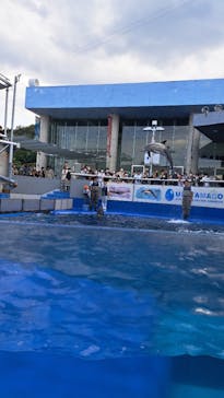 大分マリーンパレス水族館 「うみたまご」に投稿された画像（2022/10/23）