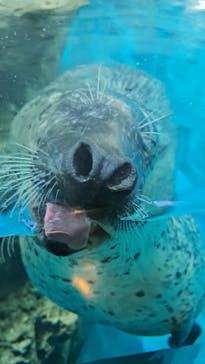 大分マリーンパレス水族館 「うみたまご」に投稿された画像（2022/10/23）