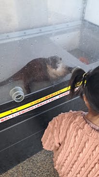 大分マリーンパレス水族館 「うみたまご」に投稿された画像（2022/10/23）