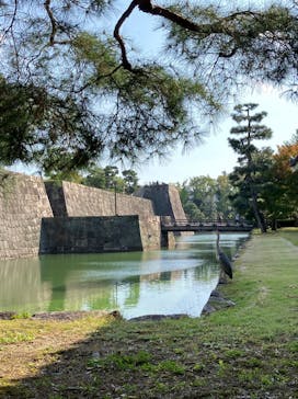 元離宮二条城に投稿された画像（2022/10/23）