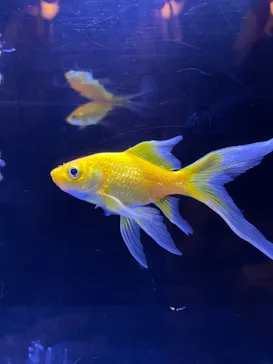 すみだ水族館に投稿された画像（2022/10/23）