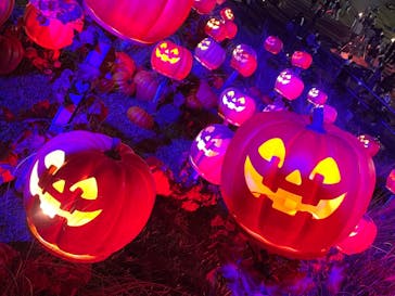 NESTA RESORT KOBE（ネスタリゾート神戸）に投稿された画像（2022/10/23）