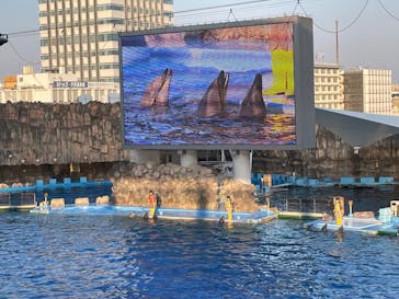 名古屋港水族館に投稿された画像（2022/10/23）