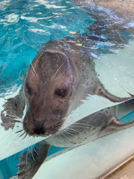 城崎マリンワールドに投稿された画像（2022/10/23）