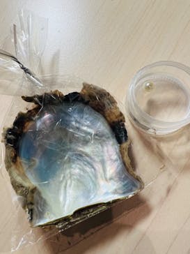 三重県真珠に投稿された画像（2022/10/23）