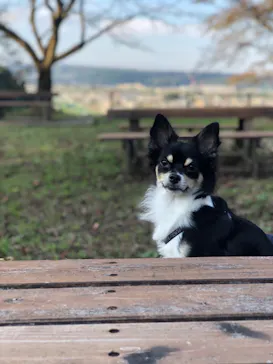 わんダフルネイチャーヴィレッジに投稿された画像（2022/10/23）