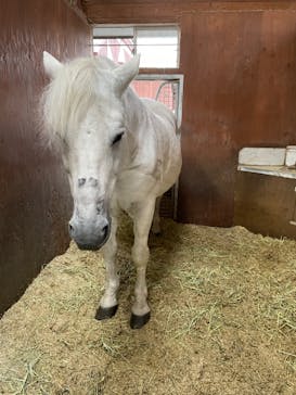 ノーザンホースパークに投稿された画像（2022/10/23）