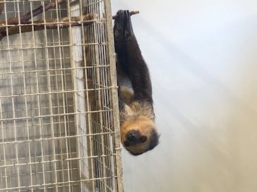 アニタッチみなとみらいに投稿された画像（2022/10/23）