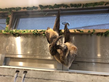 アニタッチみなとみらいに投稿された画像（2022/10/23）