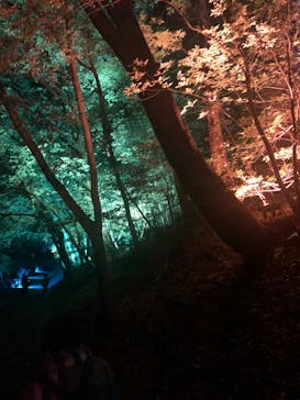 ムーミンバレーパークに投稿された画像（2022/10/23）