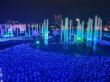 東京メガイルミに投稿された画像（2022/10/23）