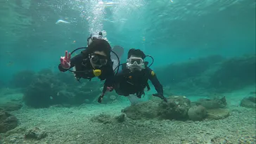 武藤潜水に投稿された画像（2022/10/23）