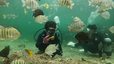 武藤潜水に投稿された画像（2022/10/23）