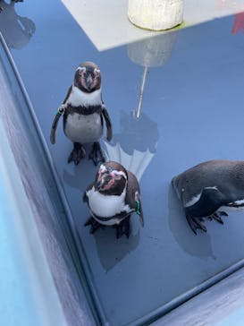 南知多ビーチランド＆南知多おもちゃ王国に投稿された画像（2022/10/23）