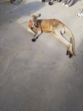 東武動物公園に投稿された画像（2022/10/23）