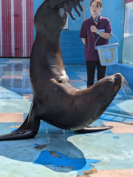 ゼロ距離水族館 伊勢シーパラダイスに投稿された画像（2022/10/23）