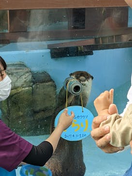 ゼロ距離水族館 伊勢シーパラダイスに投稿された画像（2022/10/23）