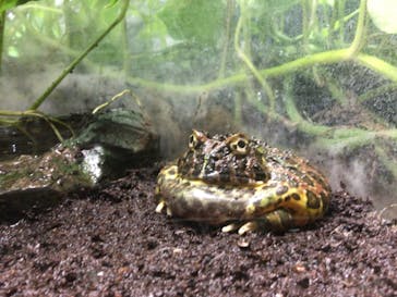 サンシャイン水族館に投稿された画像（2022/10/23）