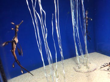 サンシャイン水族館に投稿された画像（2022/10/23）