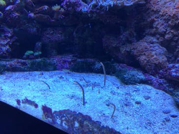 サンシャイン水族館に投稿された画像（2022/10/23）