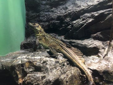 サンシャイン水族館に投稿された画像（2022/10/23）