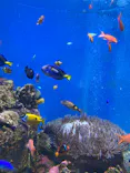 仙台うみの杜水族館に投稿された画像（2022/10/23）